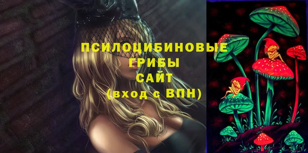 apvp Дмитриев