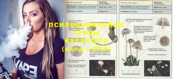метадон Дмитров