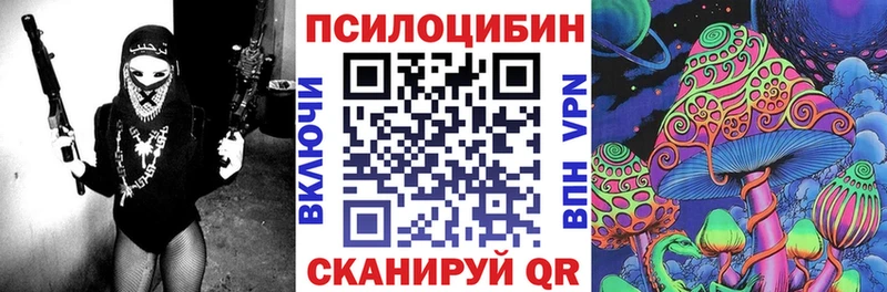 Купить закладки  Михайловка  Галлюциногенные грибы Psilocybine cubensis 