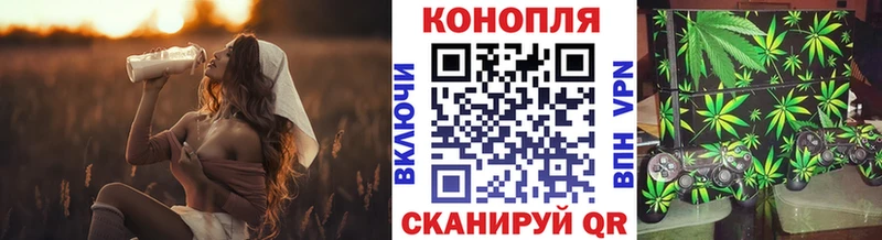 Конопля план  Купить закладки  Михайловка 